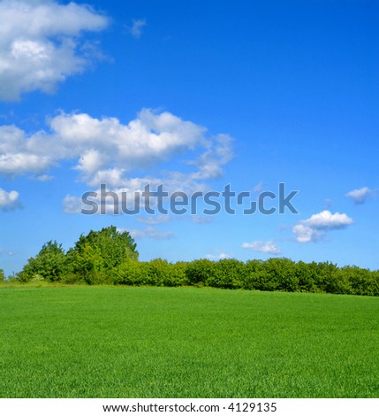 summer landscape with cumulus clouds