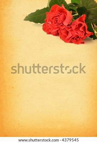 page of old paper with decorative rose motive, large copy space for your content