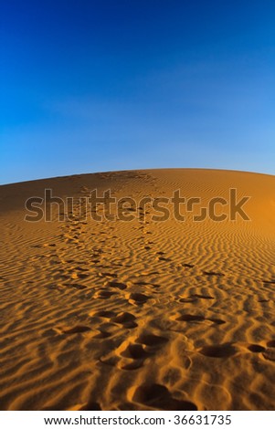 sunset over sand dune, focus set on the top of a hill