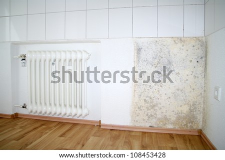 Mold growing on wall