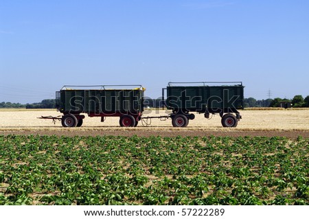 Grain truck on the field