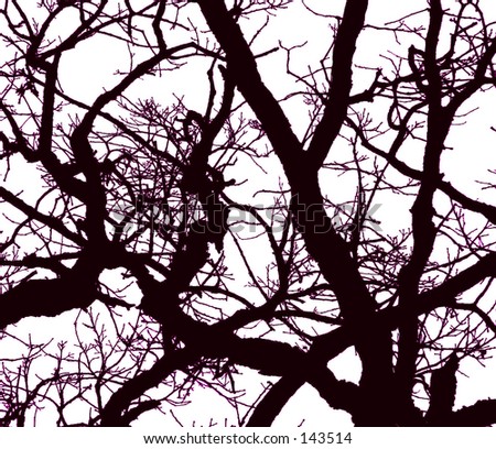 Black silhouette of branches against a white sky with violet glow