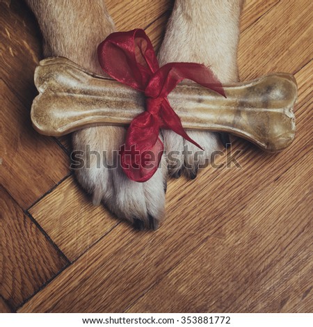 Gift bone on dog paws