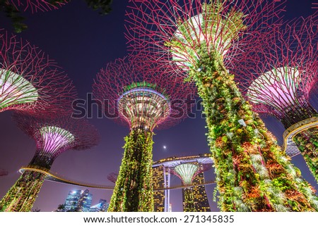SINGAPORE - February 22 2015: Night view of The Supertree Grove at Gardens near Marina Bay. Gardens by Bay was crowned World Building of Year at World Architecture Festival 2012