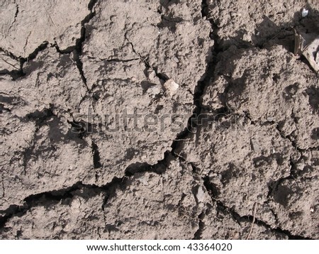 dry fissured ground