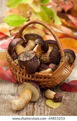 Group of woods edible mushrooms in woven basket on the wooden country table with autumn yellow abscissed leaves on the background