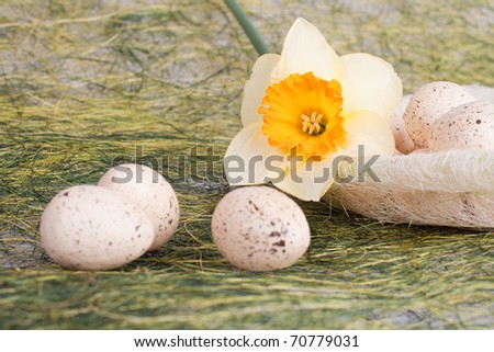 Eggs Daffodil