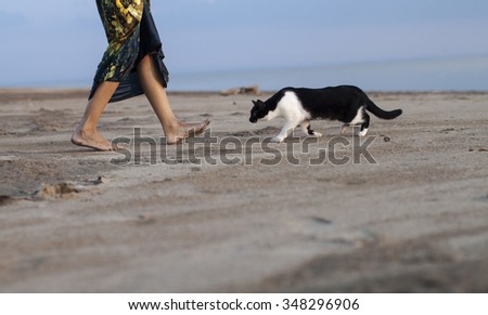 an attractive girl and cat go to meet each other on the sandy shores