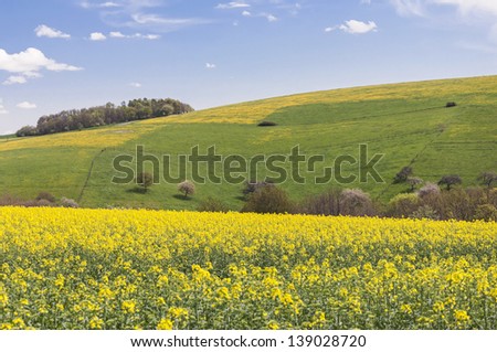 Huge rapeseed field expand until the horizon, Germany