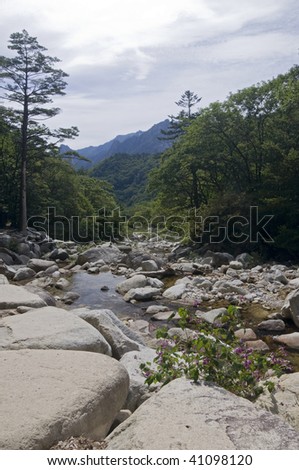 River in the Seoraksan National Park,South Korea