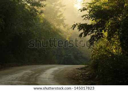 morning country road