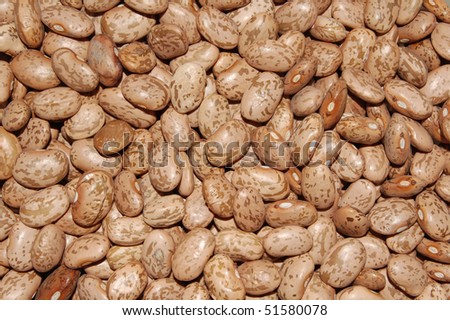 Background Texture of Pinto Beans