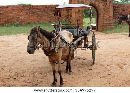 Horse cart (draft horse) with small wagon in ancient Bagan, Myanmar