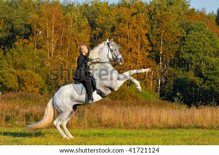 horsewoman on white horse in autumn