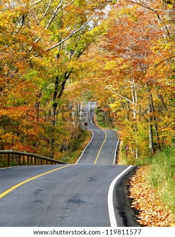 forest road, New England