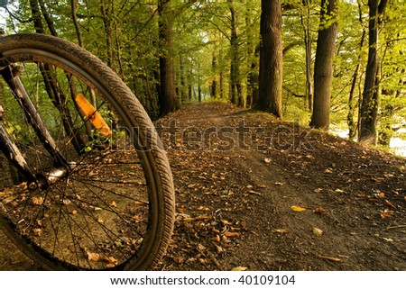 Concept photo of detail of bycycle wheel in forest dirty track