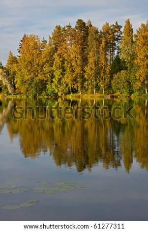 Reflection of trees in lake in Finland, autumn