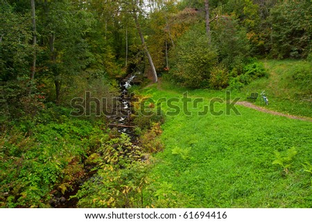 Mountain stream in forest in rainy day