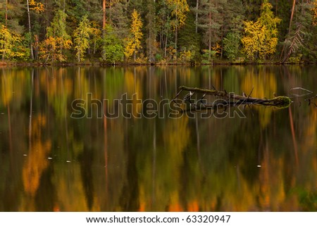 Autumn lake with dead tree in a water in dusk (Finland)