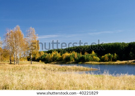 Amazing autumn in the nature on the brink of lake