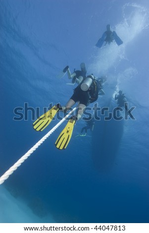 Scuba divers ascending the mooring line to a dive boat. Red Sea, Egypt.