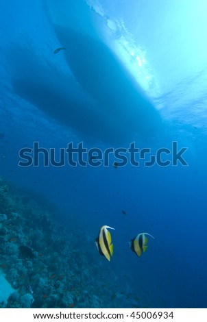 Underwater silhouette view of two boats moored up together. Red Sea, Egypt.