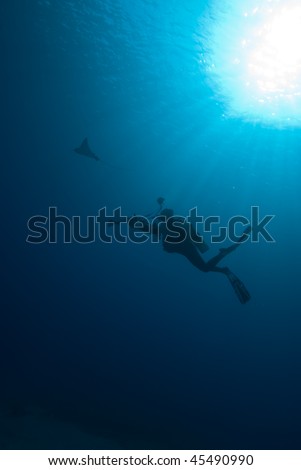 Underneath view of an underwater photographer silhouetted against the sun. Red Sea, Egypt