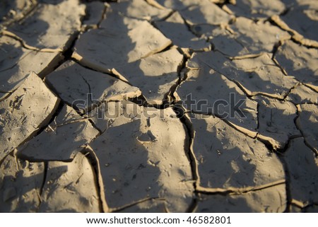 Cracked and dry mud during a drought.
