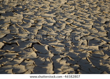 Cracked and dry mud during a drought.