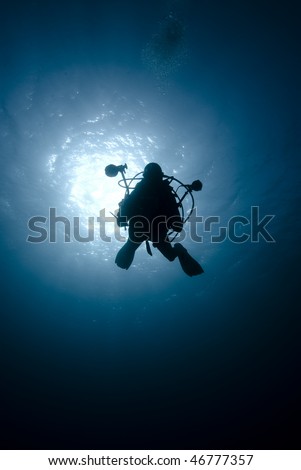 Underneath view of an underwater photographer silhouetted against the sun. Red Sea, Egypt