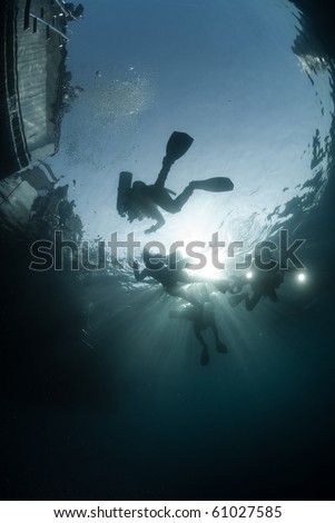 Silhouette shot of scuba divers and dive boats above on the surface. Red Sea, Egypt.