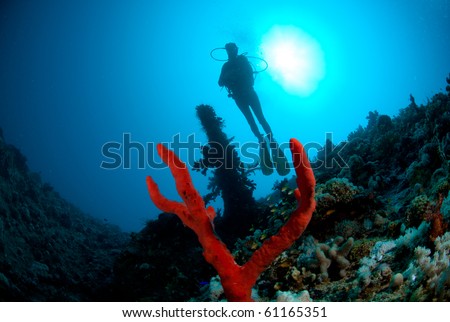 A female scuba diver exploring the stern of the SS Dunraven. Beacon rock, Ras Mohammed national Park, Red Sea, Egypt.