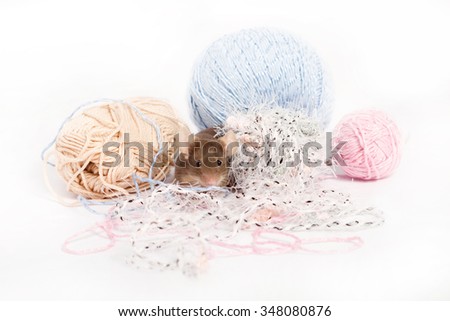 Funny domestic mouse is hiding among tangles of yarn. Yarn is blue, beige, pink and fluffy. Mouse has bushy whiskers. Mouse is funny, cute and curios