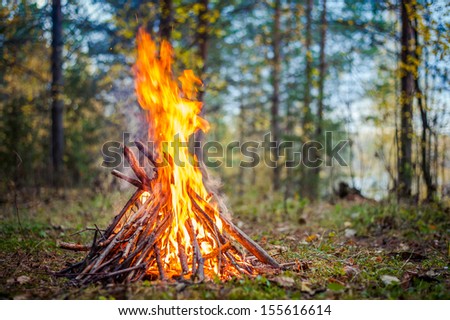 burning fire outdoor