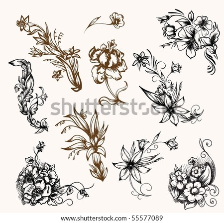 flower patterns and designs. flower patterns and designs.