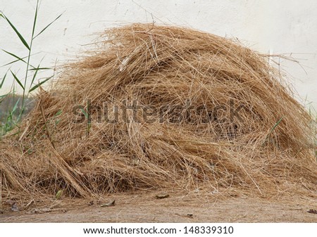 Big pile of hay in country yard
