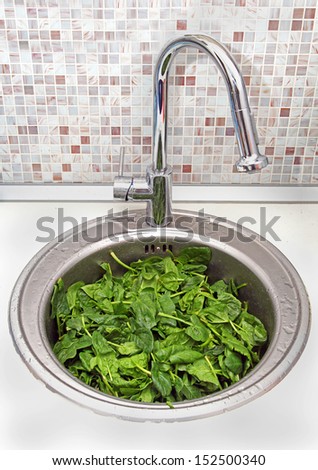 Organic green spinach washing in kitchen sink