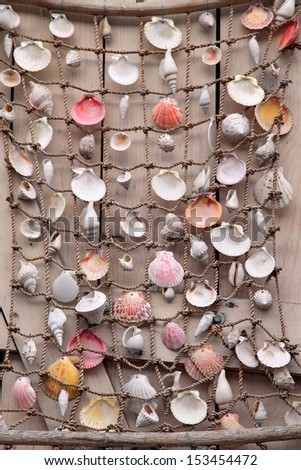 Empty sea shells attached to fishing net as decoration