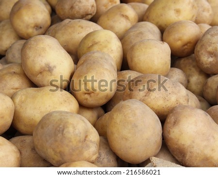 Large pile of big white raw potatoes