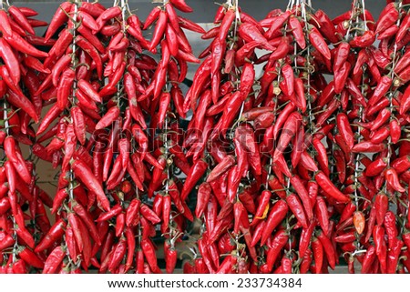 Dry red spicy peppers hanging on strings