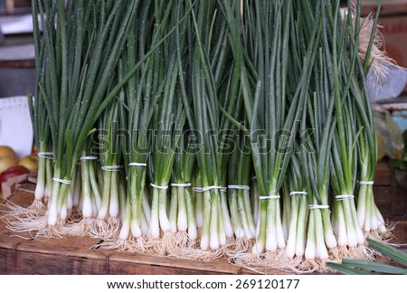 Fresh organic spring onion vegetable on wooden table
