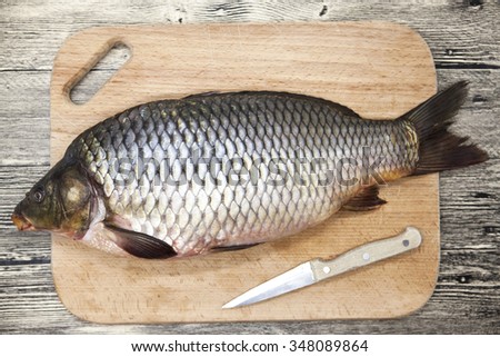 A large fresh carp live fish lying on a wooden board with a knife
