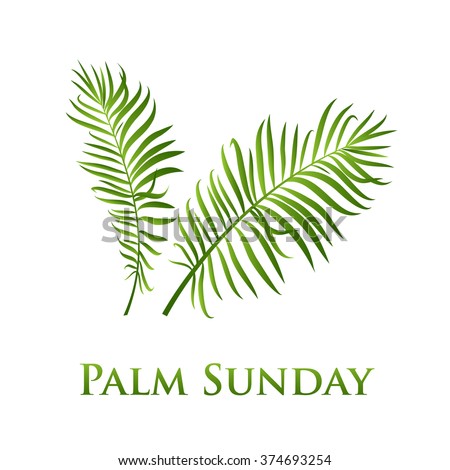 Palm leafs vector icon. Vector illustration  for the Christian holiday Palm Sunday