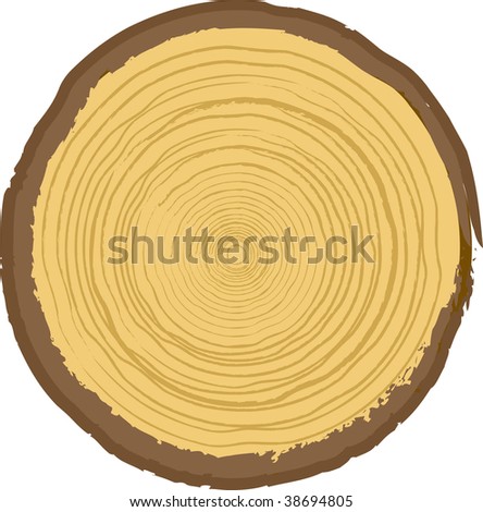 wood texture vector. stock vector : Wood texture.
