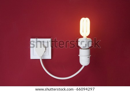 light socket plug