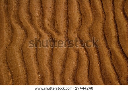 sand ripples on the floor of the Bay of Fundy