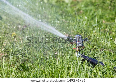 Sprinkler head watering the grass