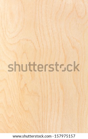 Birch Plywood. High-Detailed Wood Texture Series.