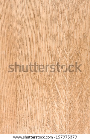 Maple wood. High-detailed wood texture series.