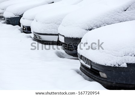Parked cars covered in fresh snow